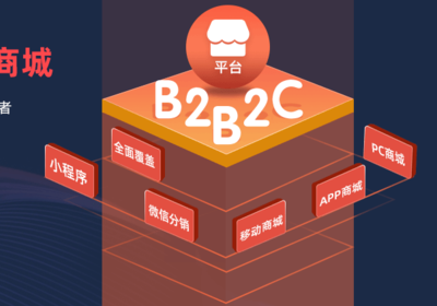 電商系統(tǒng)開發(fā)